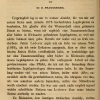 arg adip taurica staud2